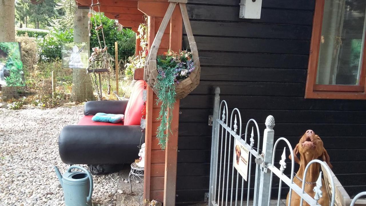 Chalet Op Een Rustig Park In De Natuur Putten Exteriör bild