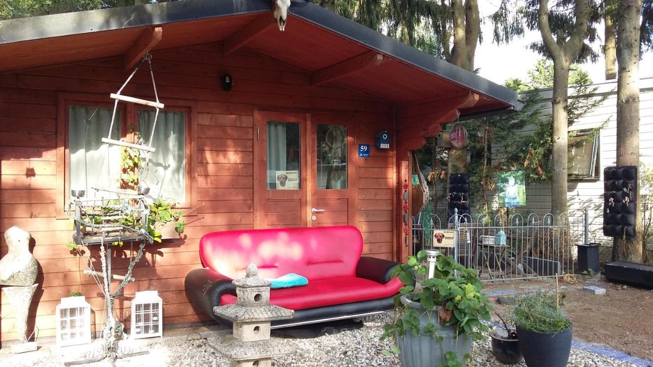 Chalet Op Een Rustig Park In De Natuur Putten Exteriör bild