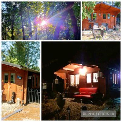 Chalet Op Een Rustig Park In De Natuur Putten Exteriör bild