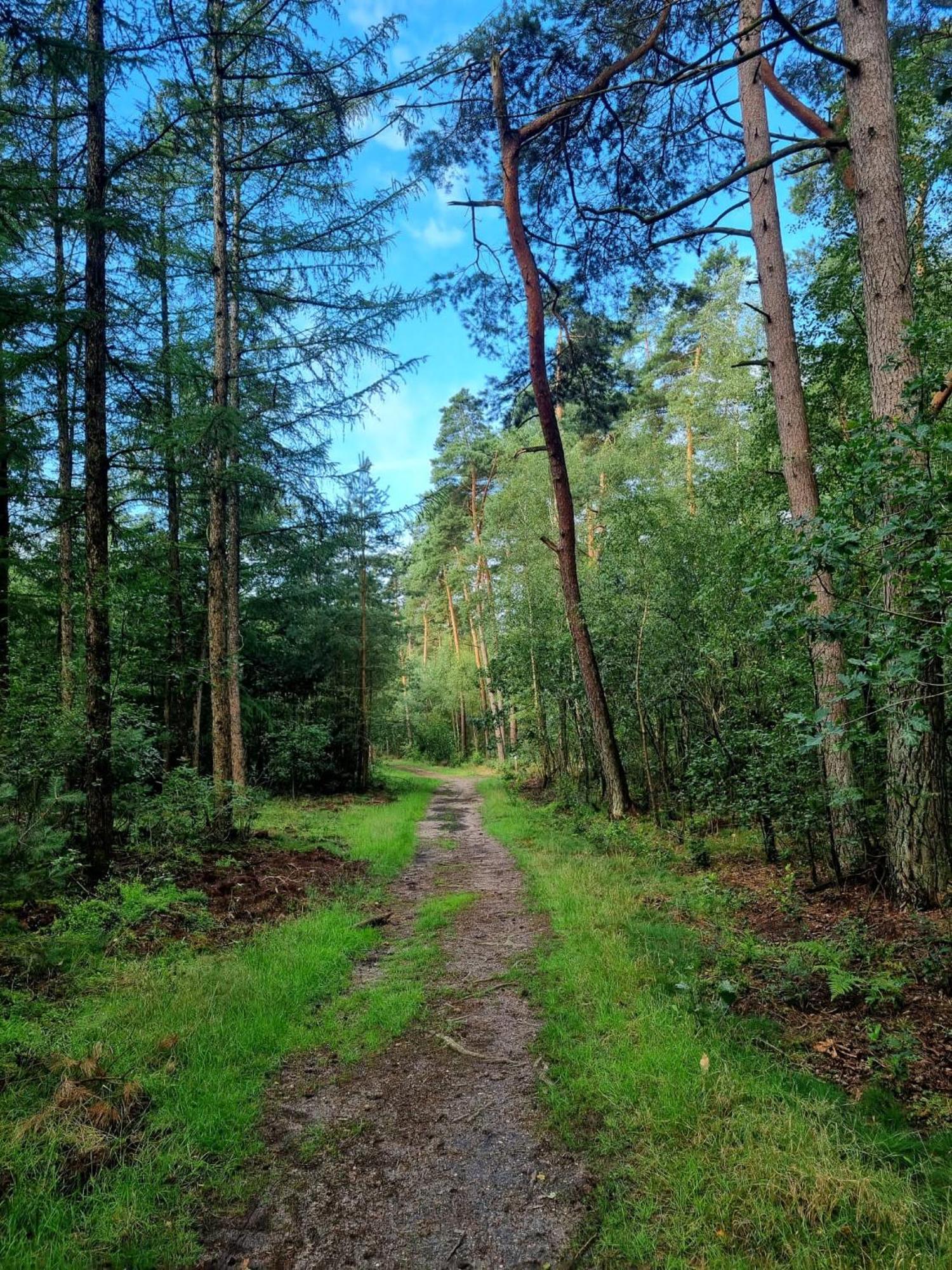 Chalet Op Een Rustig Park In De Natuur Putten Exteriör bild