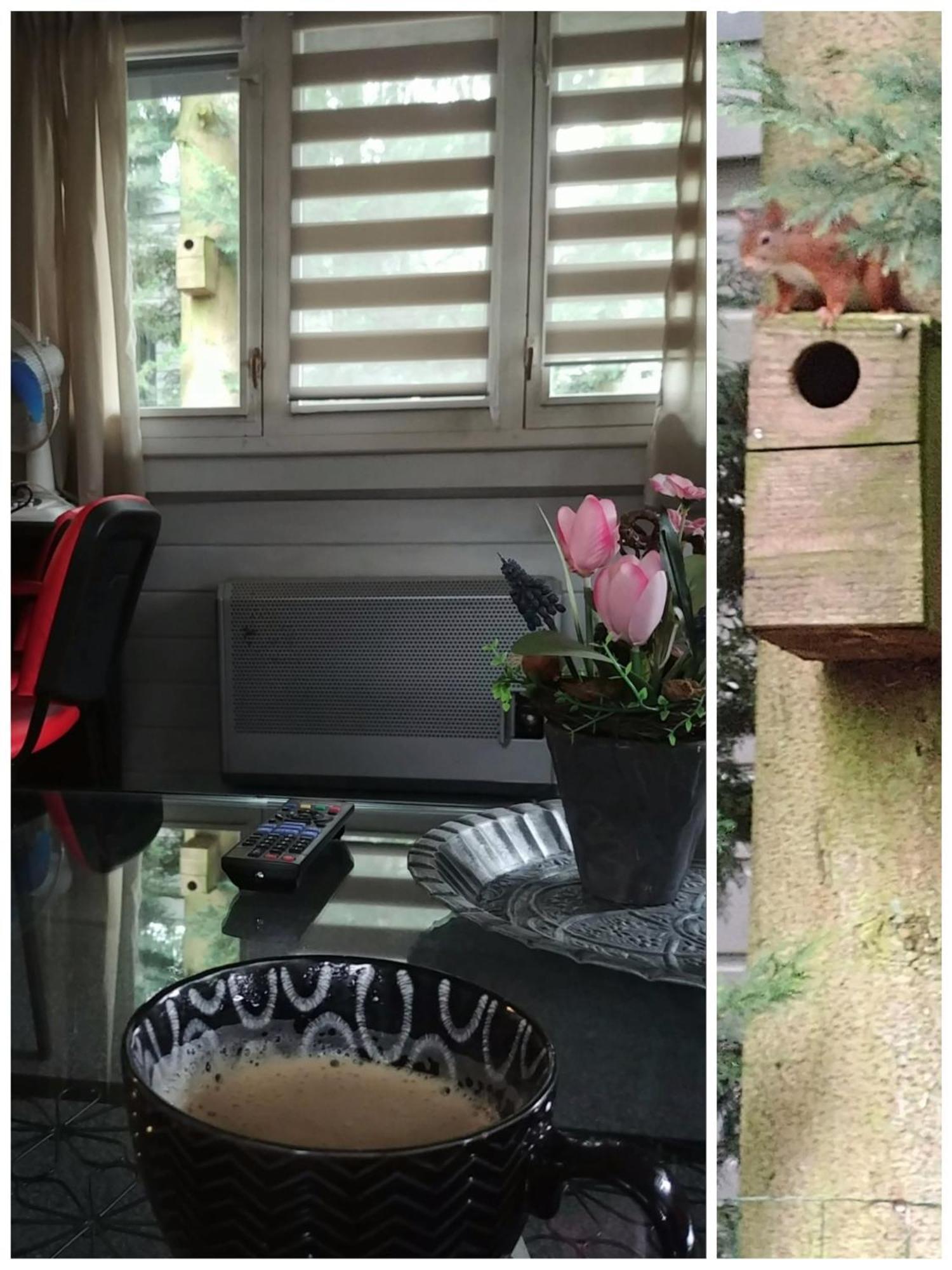 Chalet Op Een Rustig Park In De Natuur Putten Exteriör bild