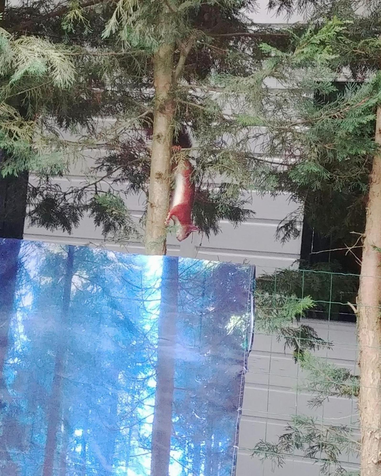 Chalet Op Een Rustig Park In De Natuur Putten Exteriör bild