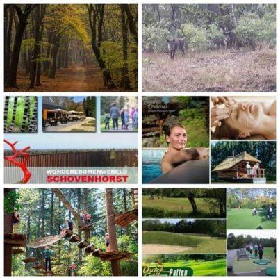 Chalet Op Een Rustig Park In De Natuur Putten Exteriör bild